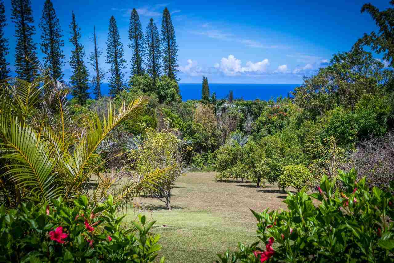 195 Mauu Place Haiku, HI 96708 - Photo 5 of 30 a view of a yard with plants sitting next to a road