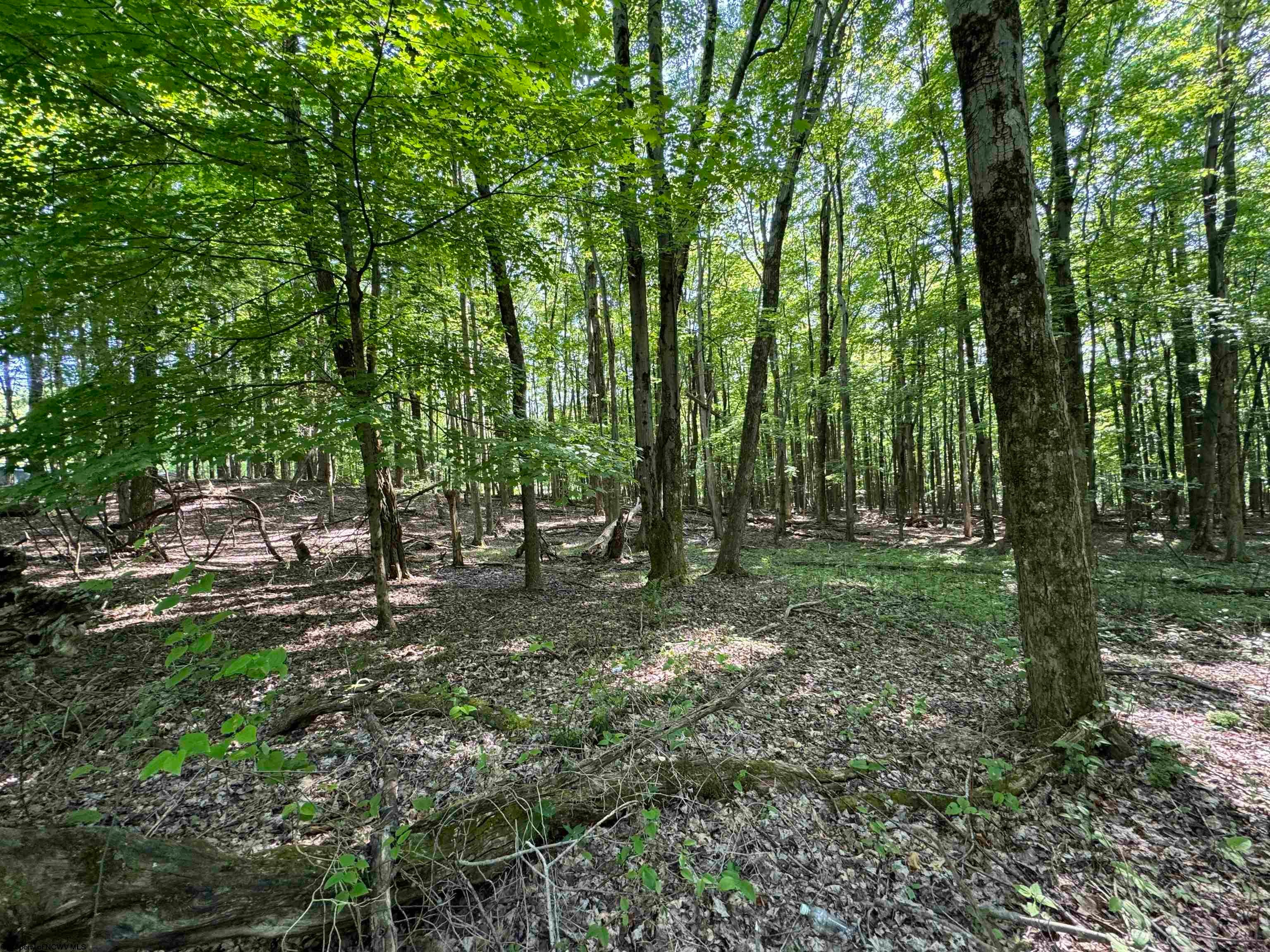 7 North Bunner Ridge Fairmont, WV 26554 - Photo 2 of 9 Gallery Image 2