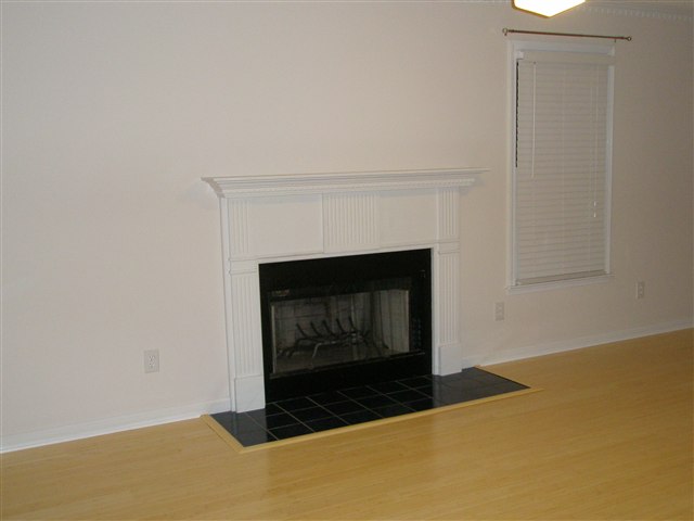 11 Fitzpatrick Court Fountain Inn, SC 29644 - Photo 3 of 10 Gallery Image 3
