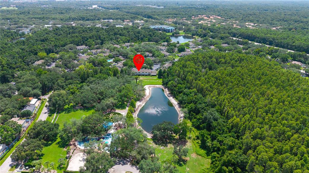 5100 Burchette Road, Unit 404 Tampa, FL 33647 - Photo 24 of 41
