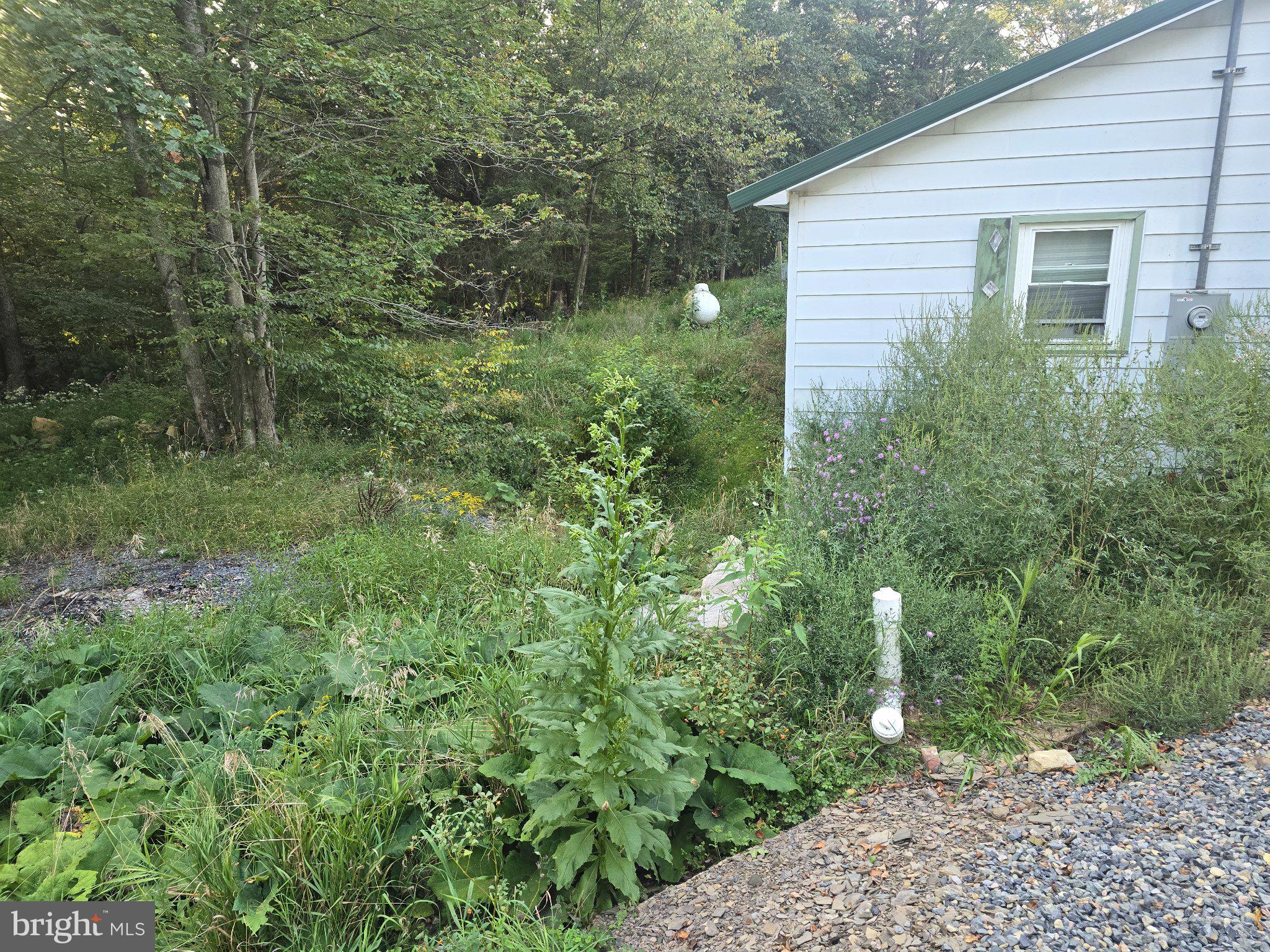 2531 Bismarck Road Mount Storm, WV 26739 - Photo 9 of 10 Gallery Image 9