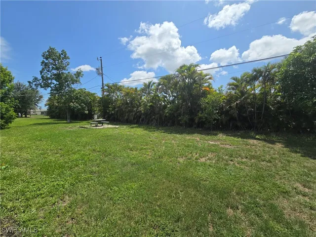 a view of a green yard