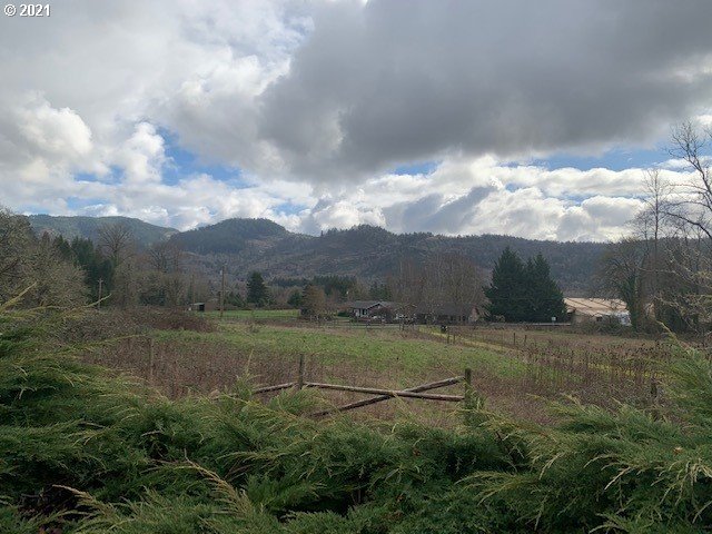 89660 Hill Road Springfield, OR 97478 - Photo 7 of 20