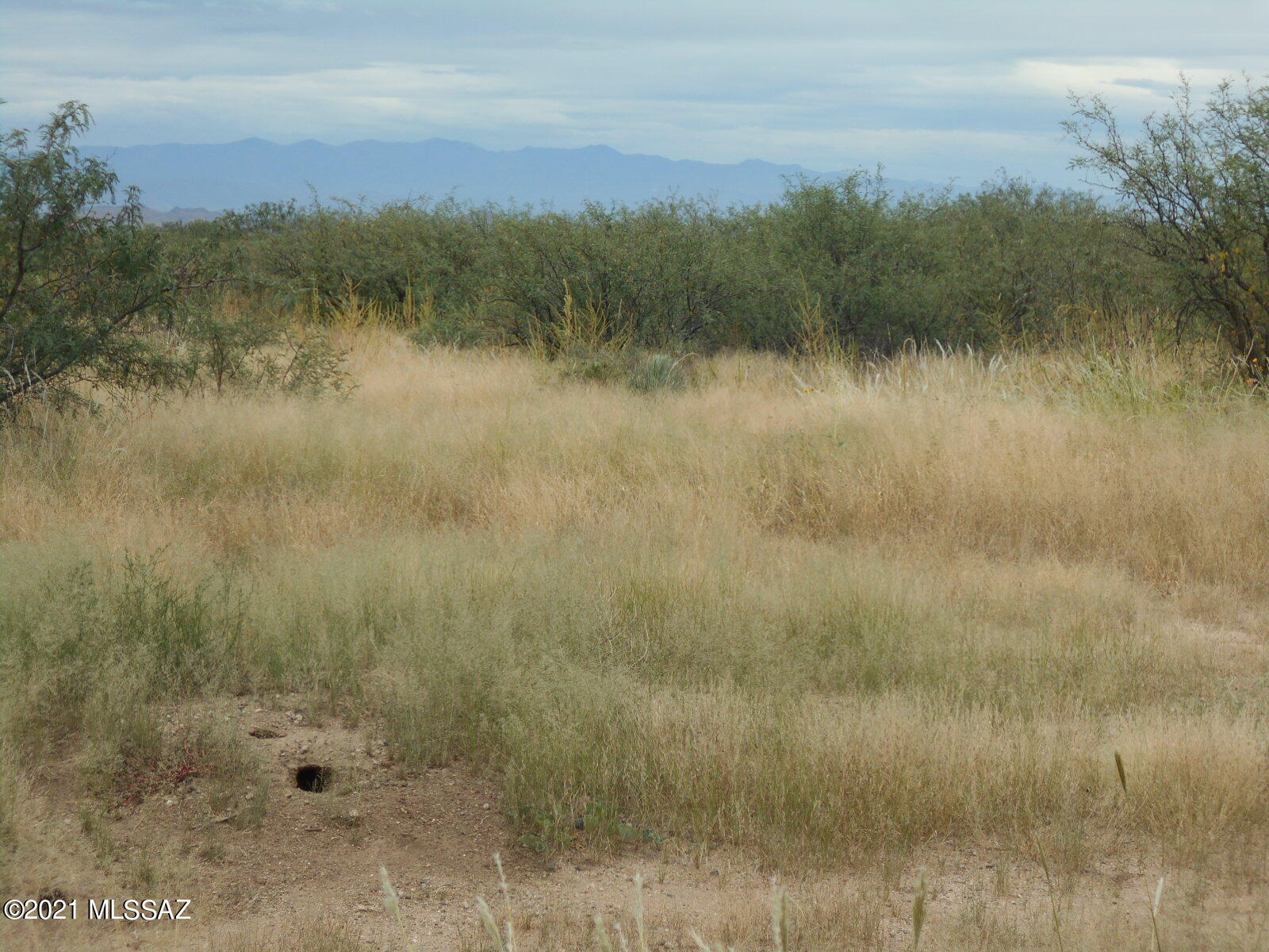 1.1-acres Cochise Stronghold Road, Unit 9 Cochise, AZ 85606 - Photo 11 of 14