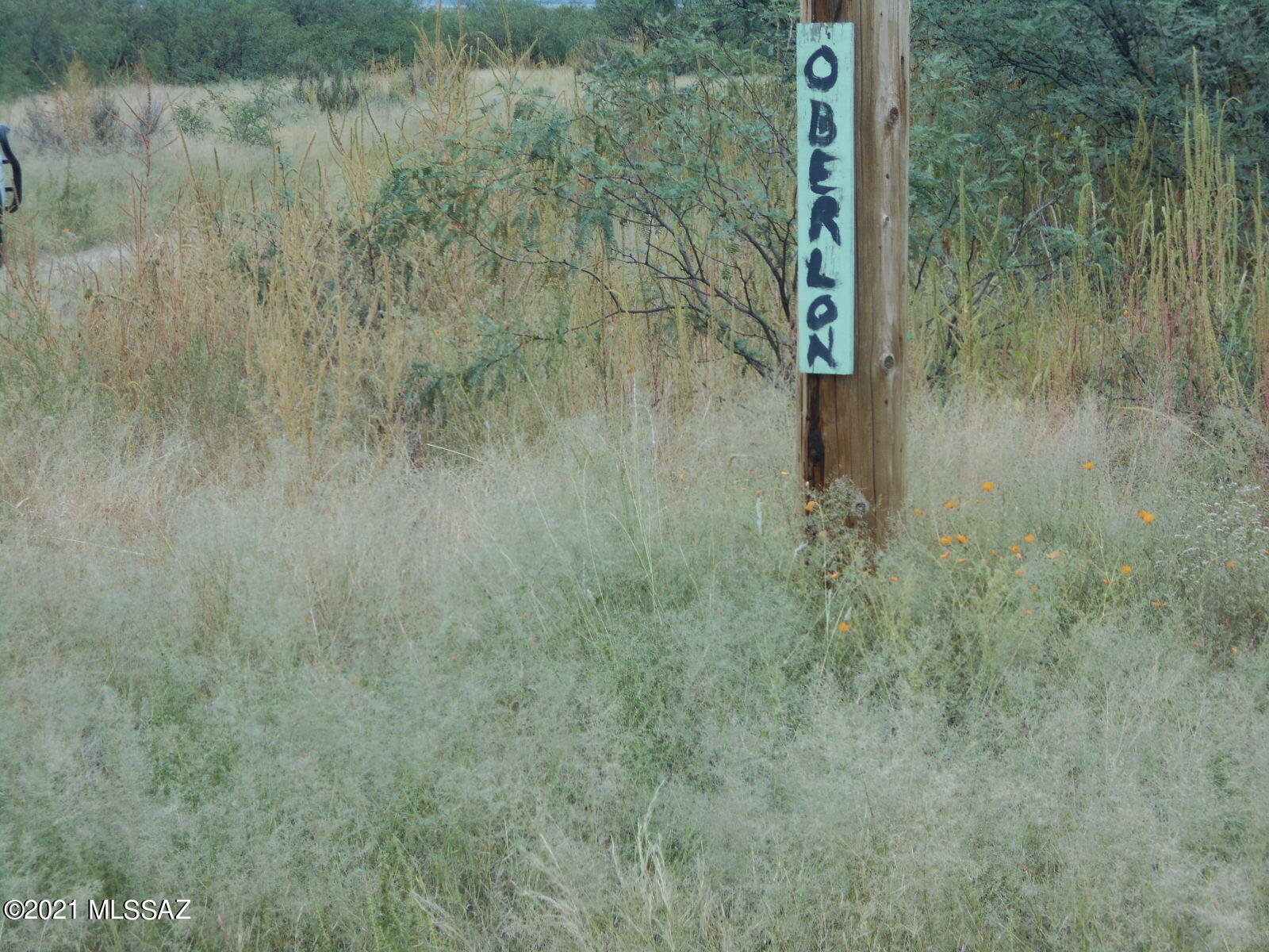 1.1-acres Cochise Stronghold Road, Unit 9 Cochise, AZ 85606 - Photo 4 of 14