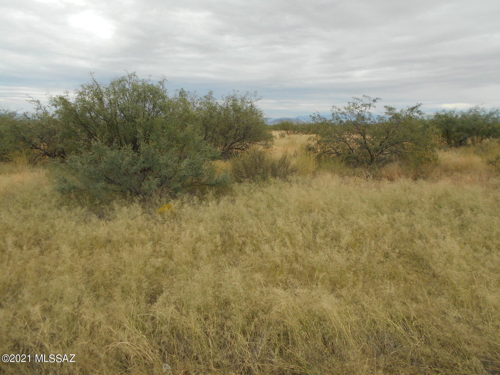 1.1-acres Cochise Stronghold Road, Unit 9 Cochise, AZ 85606 - Photo 5 of 14