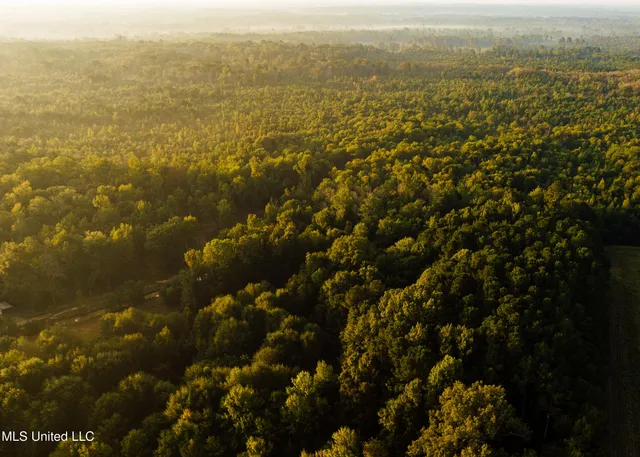 $399,750 | 16 Highway 16, Carthage, MS 39051