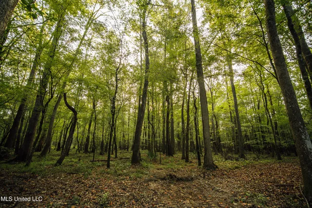 $399,750 | 16 Highway 16, Carthage, MS 39051