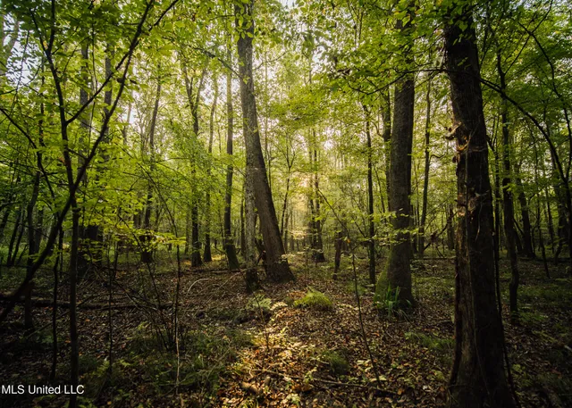 $399,750 | 16 Highway 16, Carthage, MS 39051