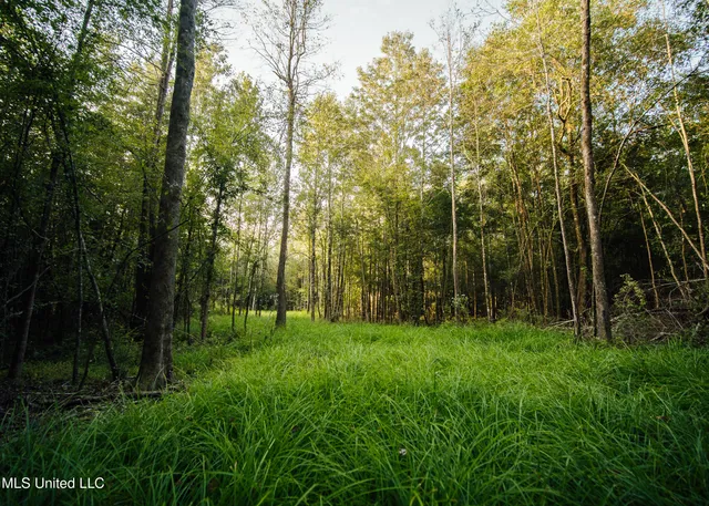 $399,750 | 16 Highway 16, Carthage, MS 39051