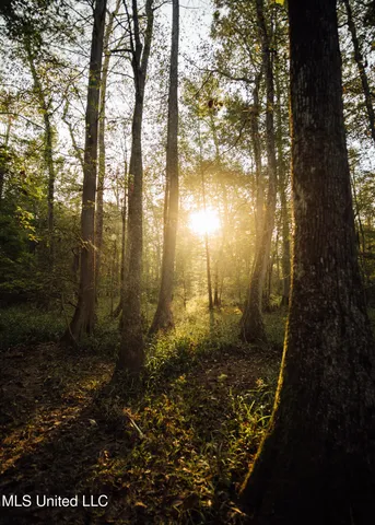 $399,750 | 16 Highway 16, Carthage, MS 39051