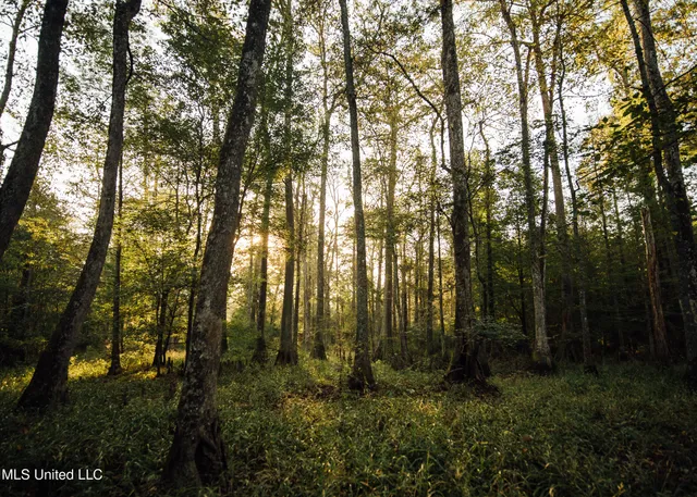 $399,750 | 16 Highway 16, Carthage, MS 39051