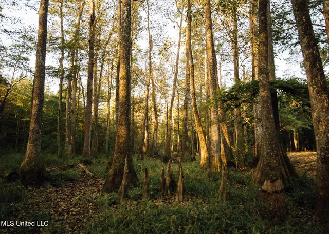 $399,750 | 16 Highway 16, Carthage, MS 39051