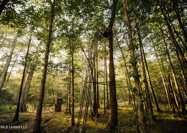 $399,750 | 16 Highway 16, Carthage, MS 39051