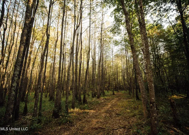 $399,750 | 16 Highway 16, Carthage, MS 39051