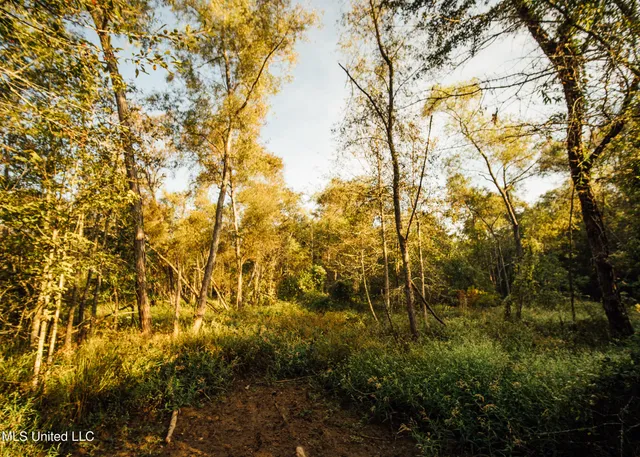 $399,750 | 16 Highway 16, Carthage, MS 39051