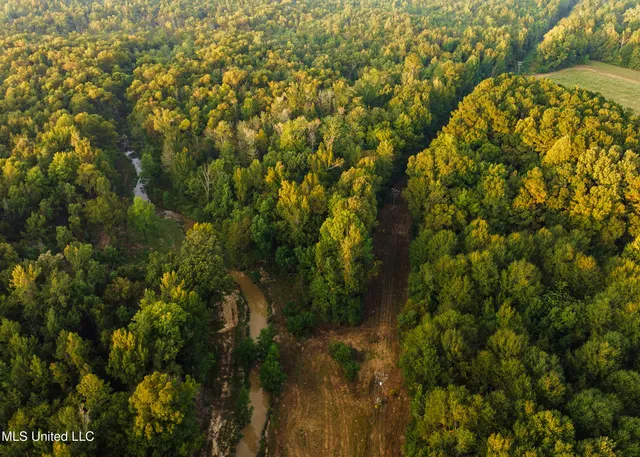 $399,750 | 16 Highway 16, Carthage, MS 39051