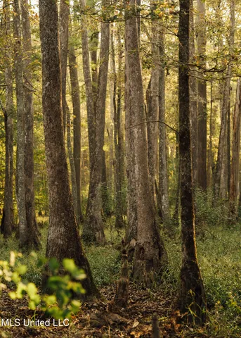 $399,750 | 16 Highway 16, Carthage, MS 39051