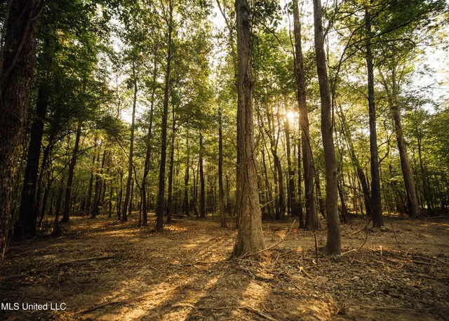 $399,750 | 16 Highway 16, Carthage, MS 39051