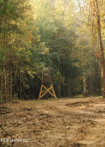 $399,750 | 16 Highway 16, Carthage, MS 39051