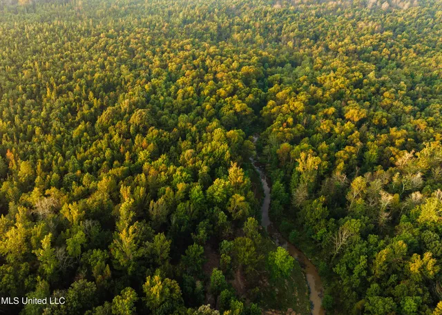 $399,750 | 16 Highway 16, Carthage, MS 39051