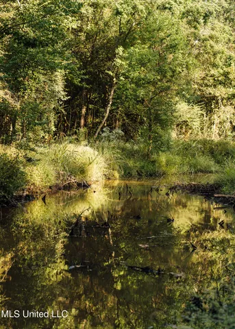 $399,750 | 16 Highway 16, Carthage, MS 39051