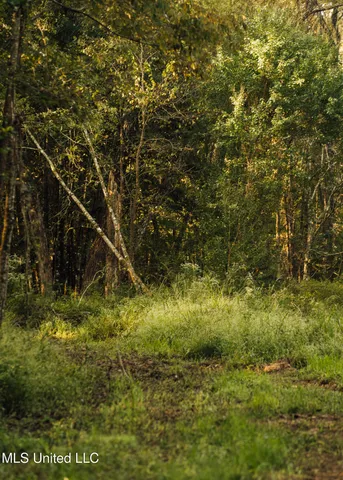 $399,750 | 16 Highway 16, Carthage, MS 39051