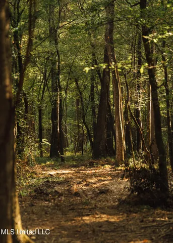 $399,750 | 16 Highway 16, Carthage, MS 39051