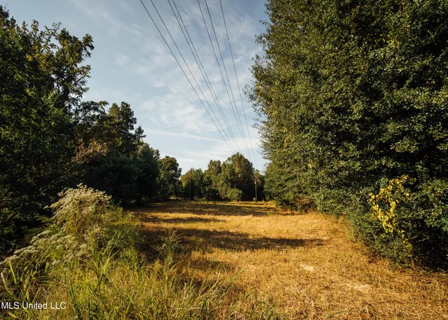 $399,750 | 16 Highway 16, Carthage, MS 39051