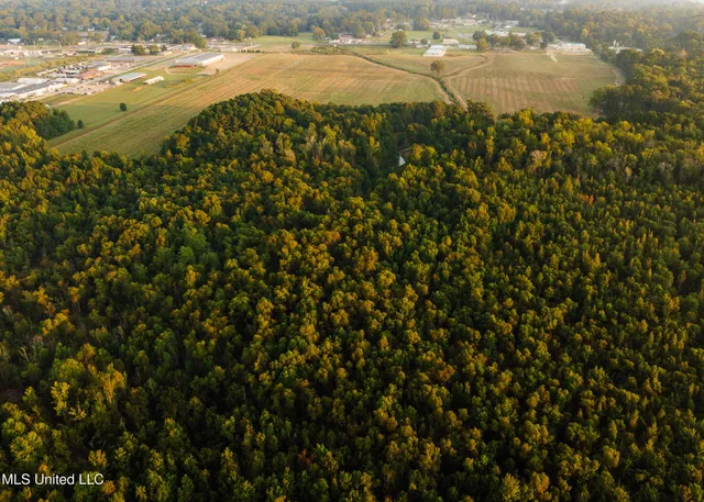 $399,750 | 16 Highway 16, Carthage, MS 39051