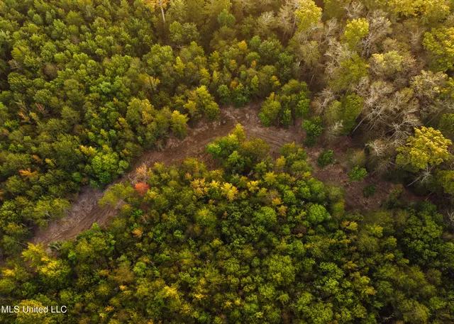 $399,750 | 16 Highway 16, Carthage, MS 39051