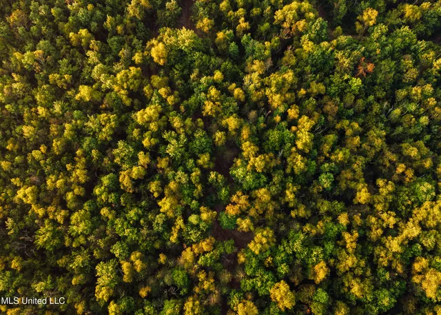 $399,750 | 16 Highway 16, Carthage, MS 39051