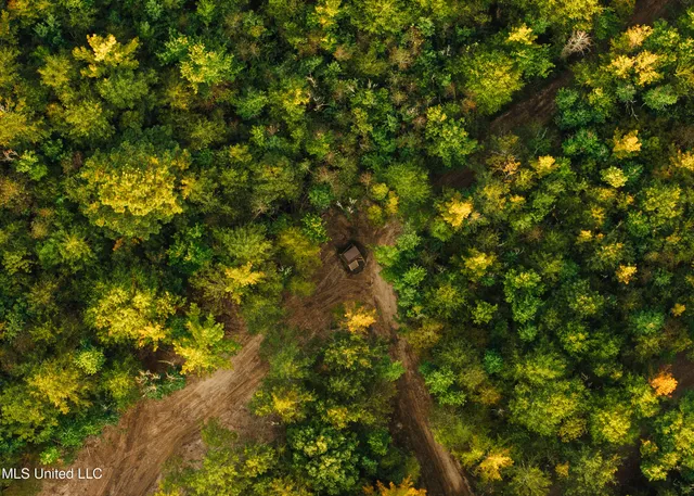 $399,750 | 16 Highway 16, Carthage, MS 39051