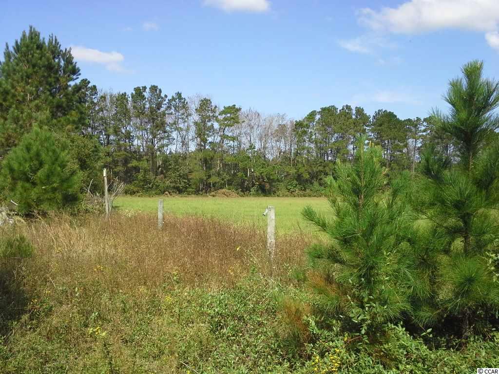 5455 Carriage Road Conway, SC 29527 - Photo 18 of 25