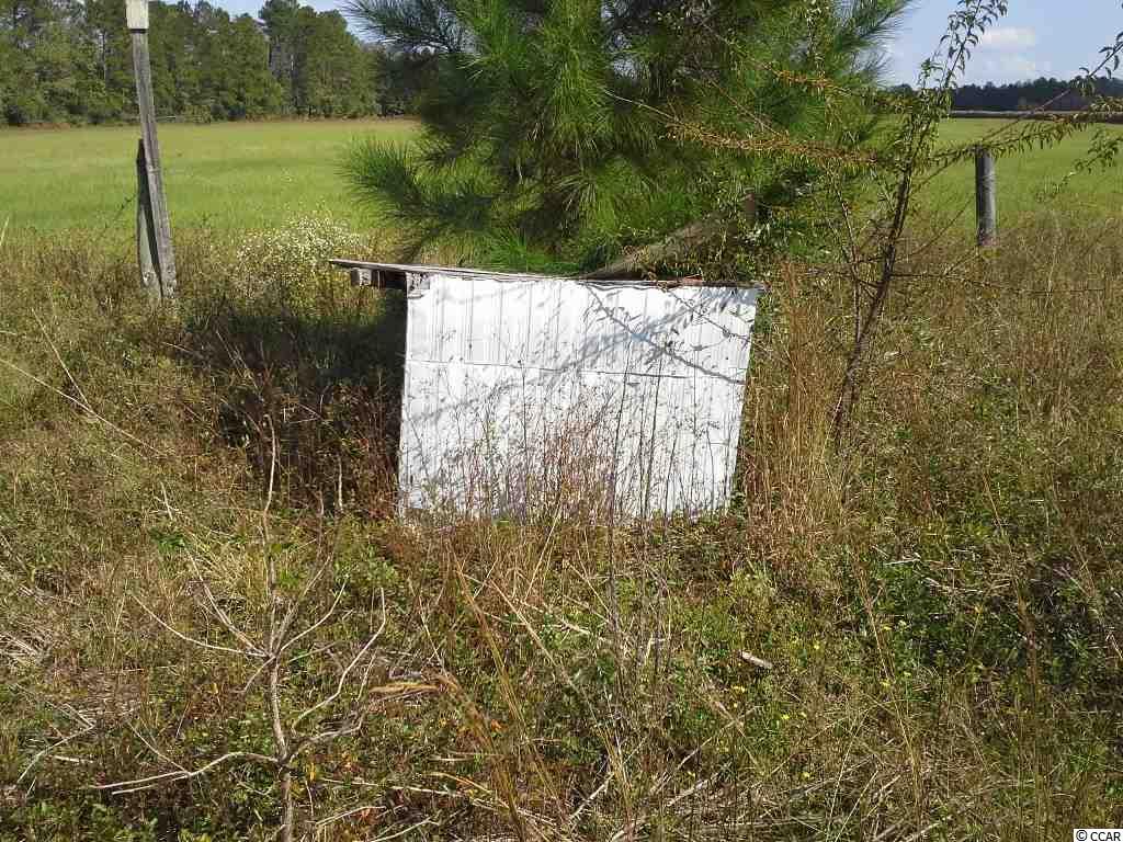 5455 Carriage Road Conway, SC 29527 - Photo 19 of 25