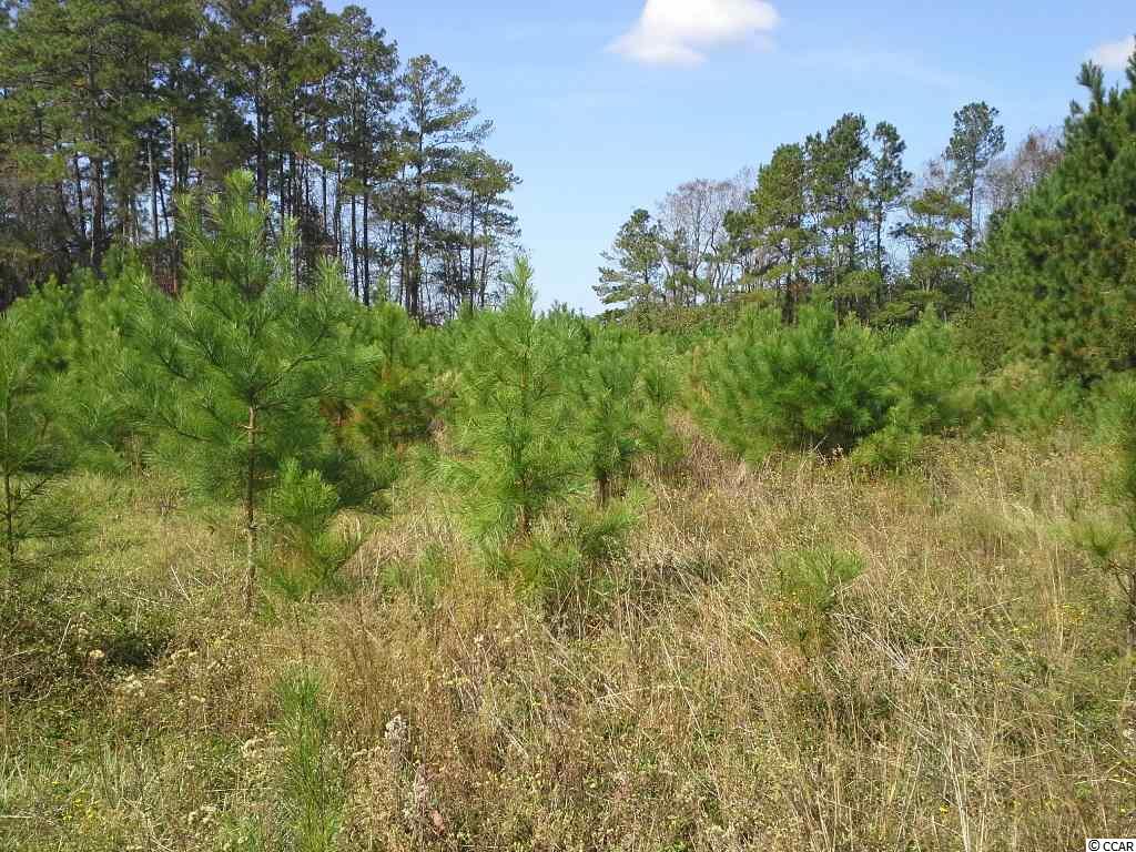 5455 Carriage Road Conway, SC 29527 - Photo 20 of 25