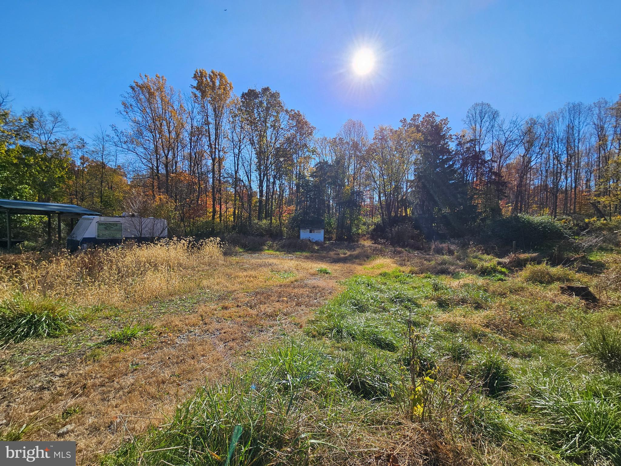 2261 South Forge Road Palmyra, PA 17078 - Photo 1 of 14 a view of outdoor space with trees