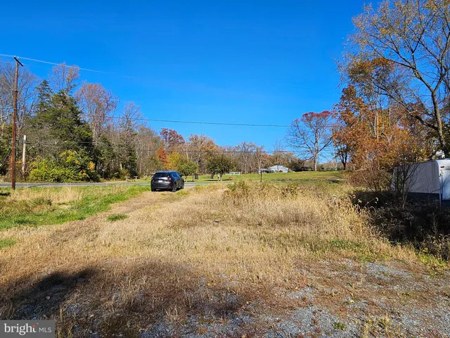 a view of a yard with trees