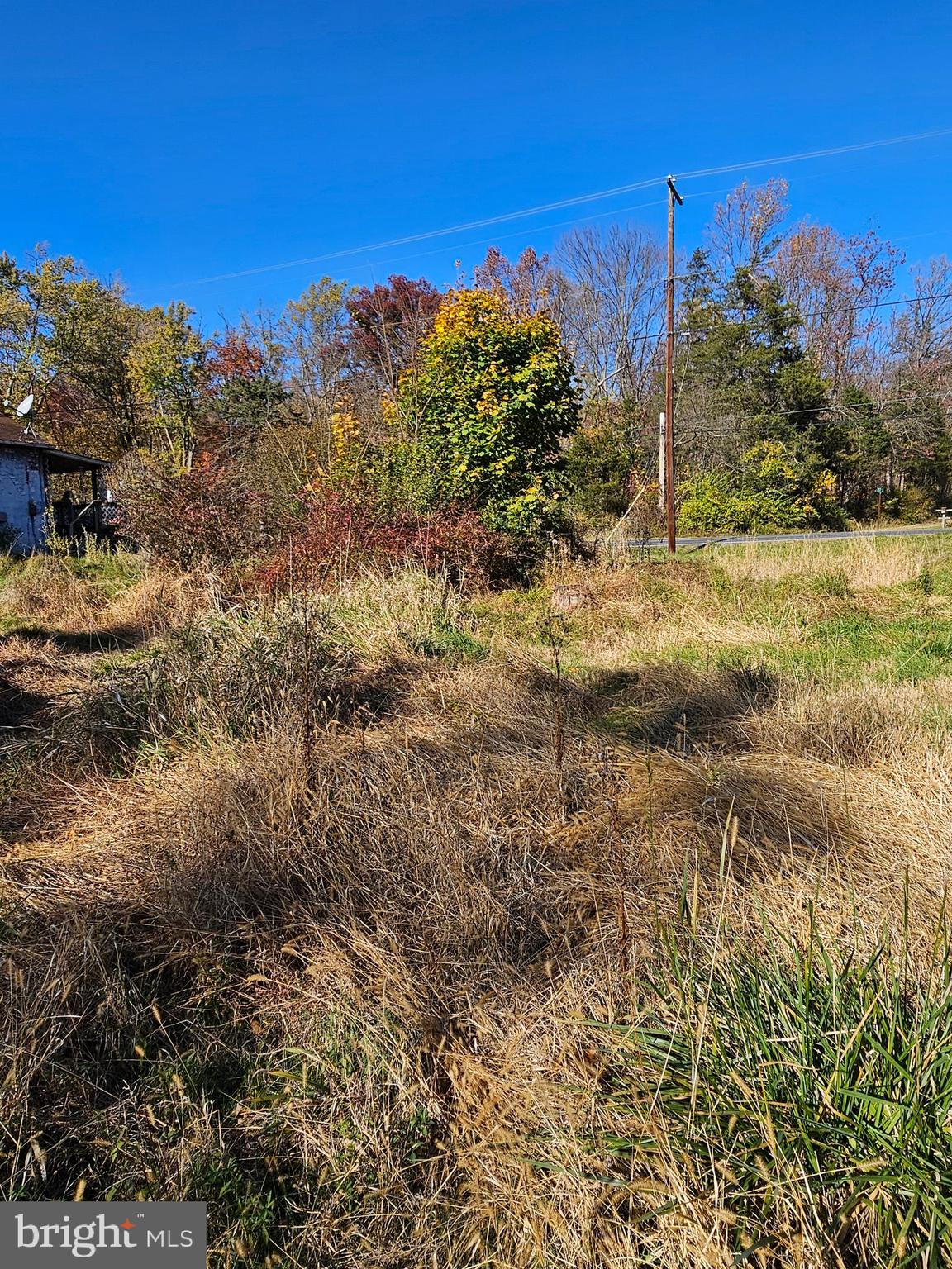 2261 South Forge Road Palmyra, PA 17078 - Photo 14 of 14 a view of a yard with trees