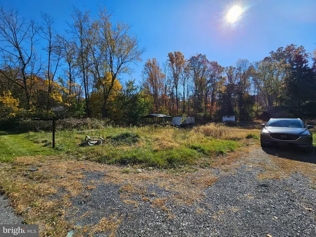 a view of backyard with trees