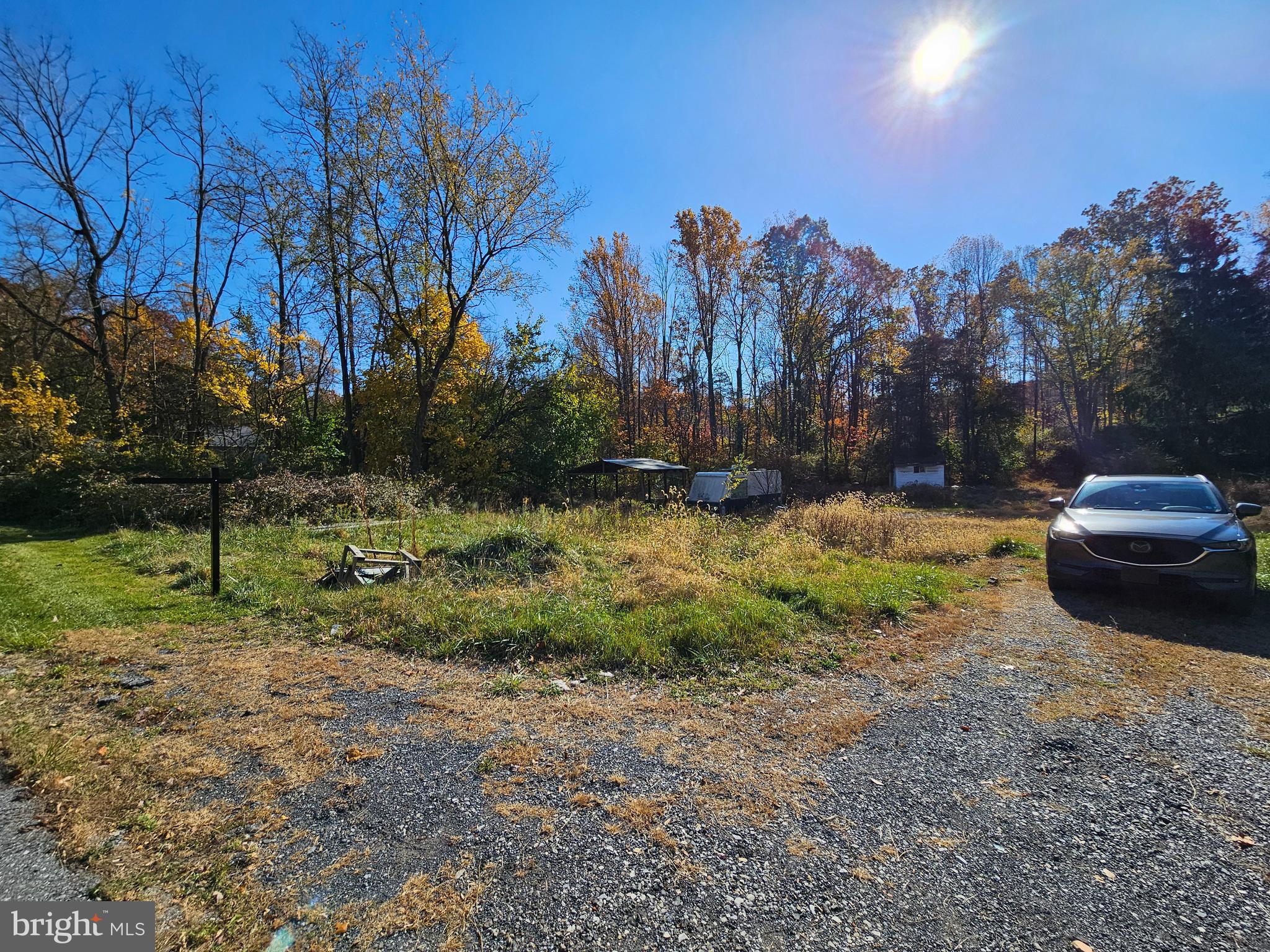 2261 South Forge Road Palmyra, PA 17078 - Photo 2 of 14 a view of backyard with trees