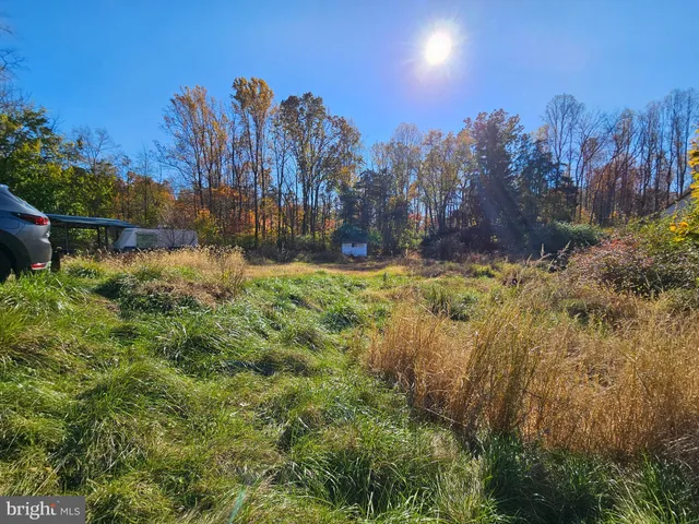 a view of a yard with a house
