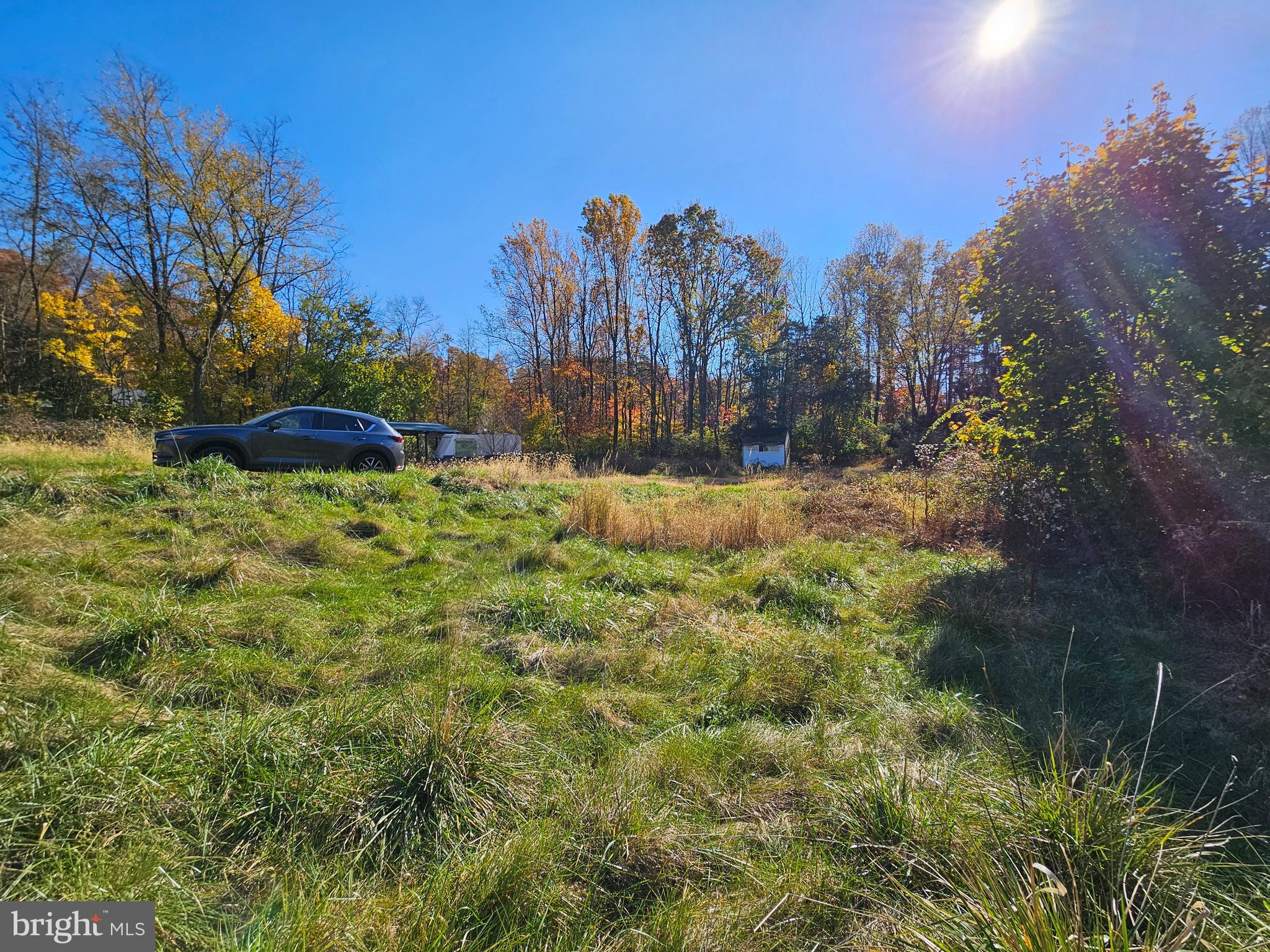 2261 South Forge Road Palmyra, PA 17078 - Photo 4 of 14 a view of a yard with a house