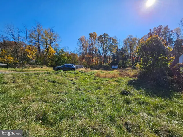 a view of a field with a tree in the background