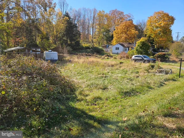 a view of a fire pit with large trees