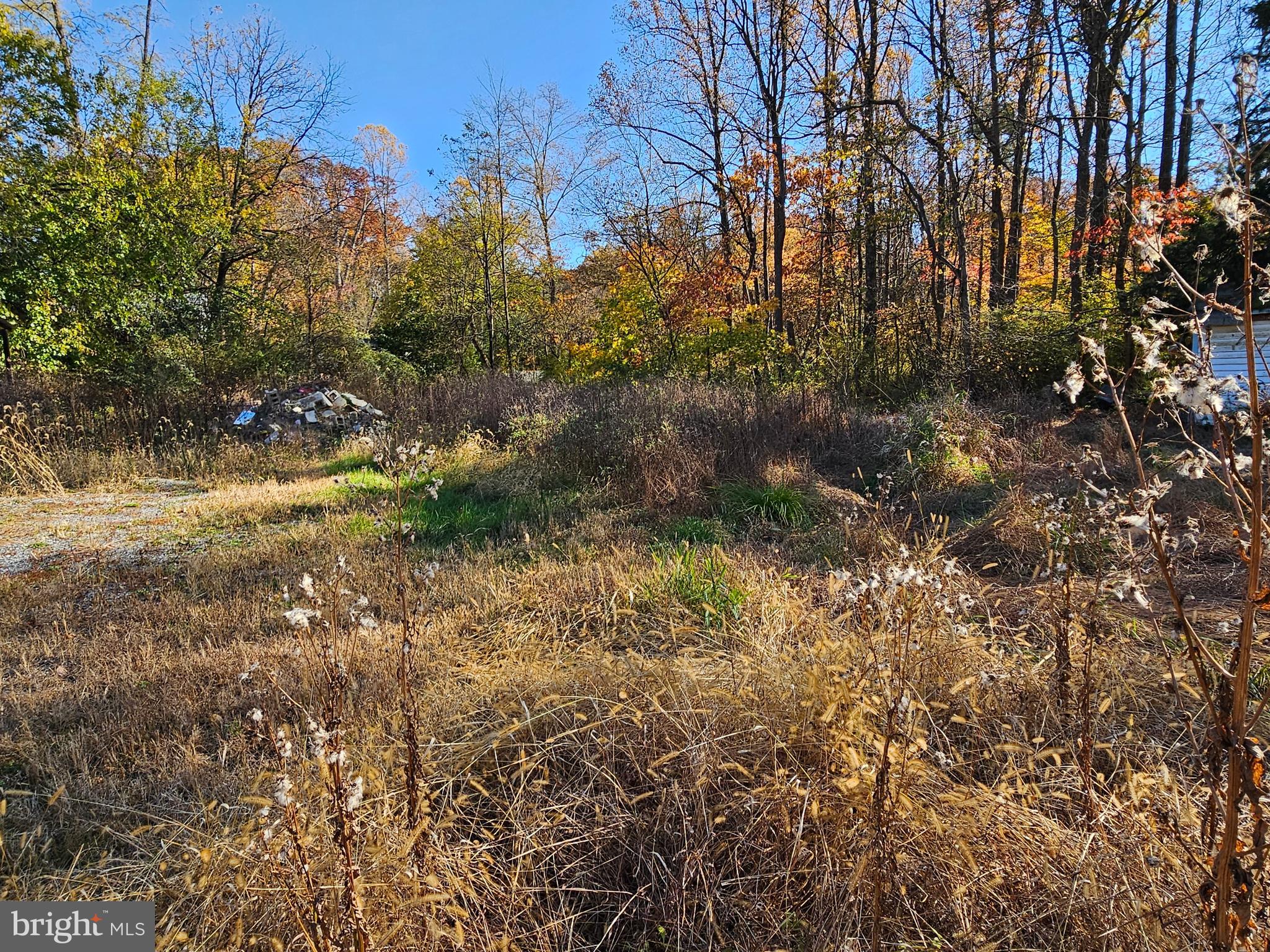 2261 South Forge Road Palmyra, PA 17078 - Photo 7 of 14 a view of a yard with plants and trees