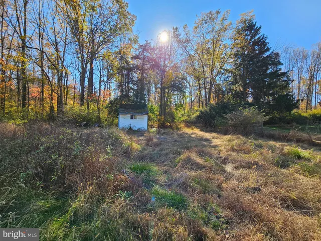 a view of a yard with trees