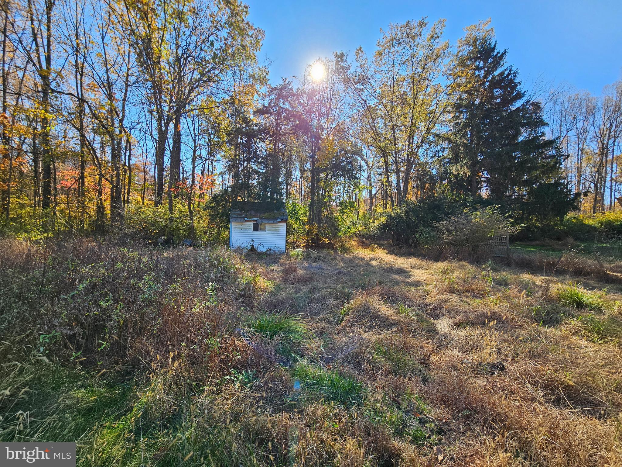 2261 South Forge Road Palmyra, PA 17078 - Photo 10 of 14 a view of a yard with trees