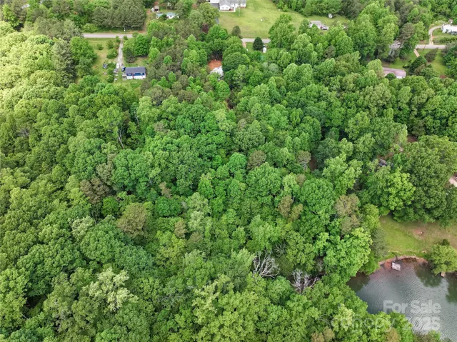 a view of a garden with a tree