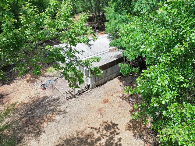 a view of a backyard with plants